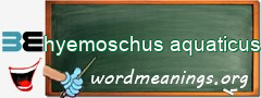 WordMeaning blackboard for hyemoschus aquaticus